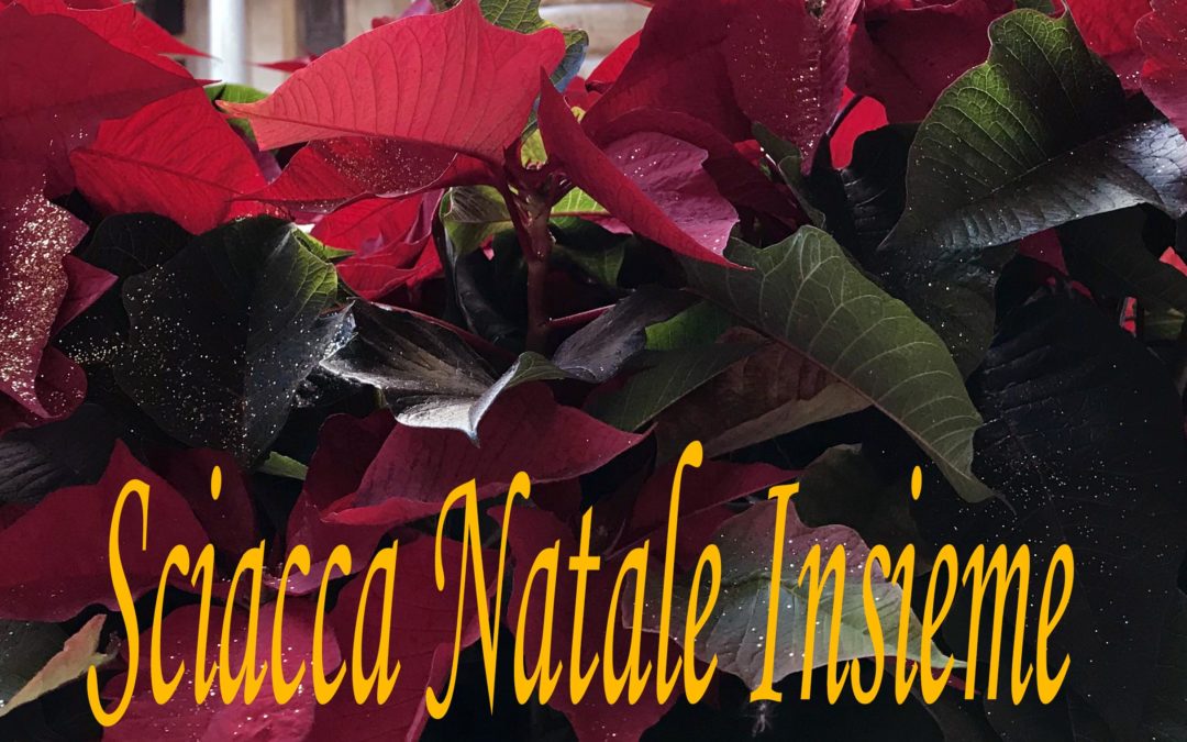 Sciacca Natale insieme – Il programma completo – Orari ZTL